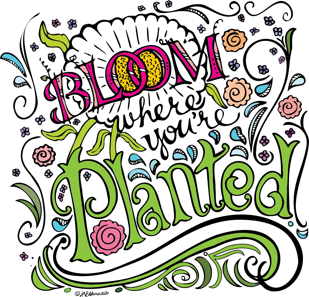 Bloom where you're planted
