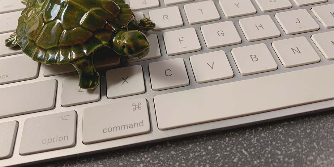 Turtle on a keyboard